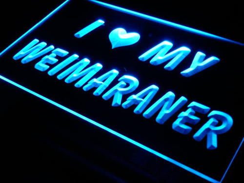 I Love My Weimaraner Dog Pet Neon Light Sign
